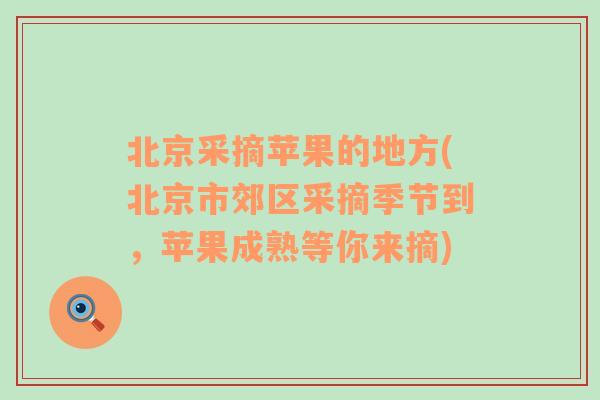 北京采摘苹果的地方(北京市郊区采摘季节到，苹果成熟等你来摘)