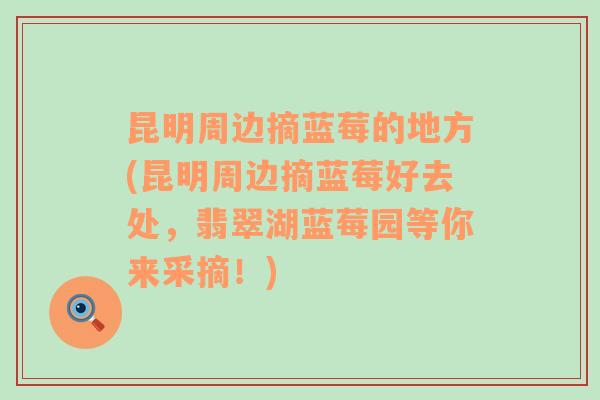 昆明周边摘蓝莓的地方(昆明周边摘蓝莓好去处，翡翠湖蓝莓园等你来采摘！)