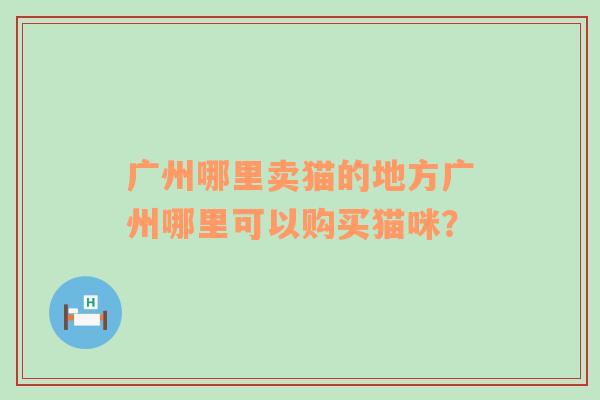 广州哪里卖猫的地方广州哪里可以购买猫咪？