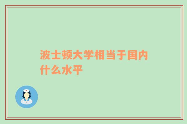 波士顿大学相当于国内什么水平