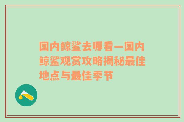 国内鲸鲨去哪看—国内鲸鲨观赏攻略揭秘最佳地点与最佳季节